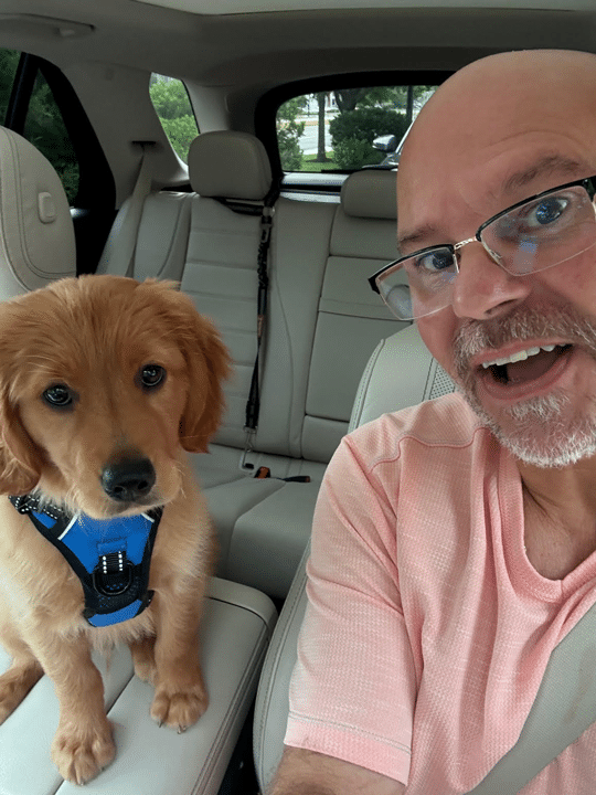 Mini Golden Retriever Puppy - Huey Magoo