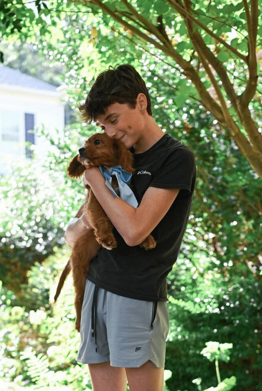 Mini Golden Retriever Pup cuddling